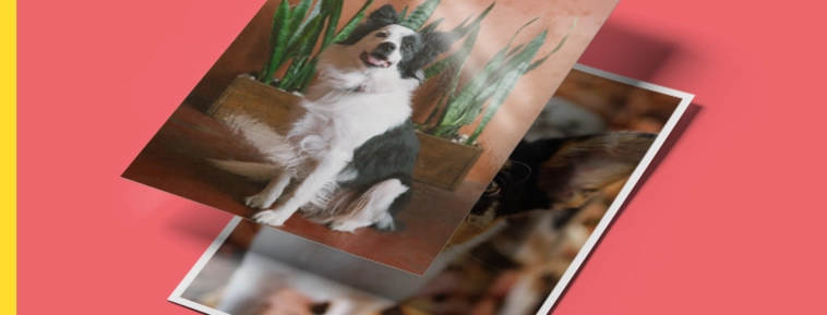 Classic Photo Printing